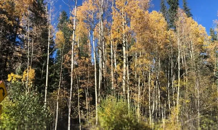 Private tour hiking to Saint Mary's Glacier, Red Rock and Hot Springs