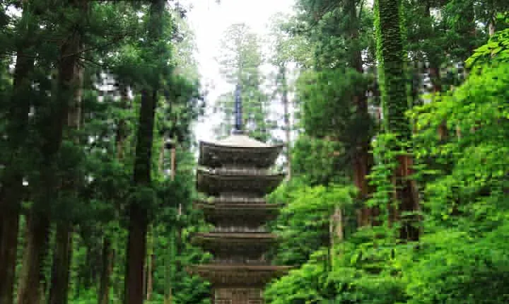 Tsuruoka & Dewa-Sanzan Full-Day Private Tour with Government-Licensed Guide