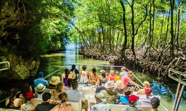 Los Haitises N. Park, Yanigua Waterfall & Montaña Redonda Tour
