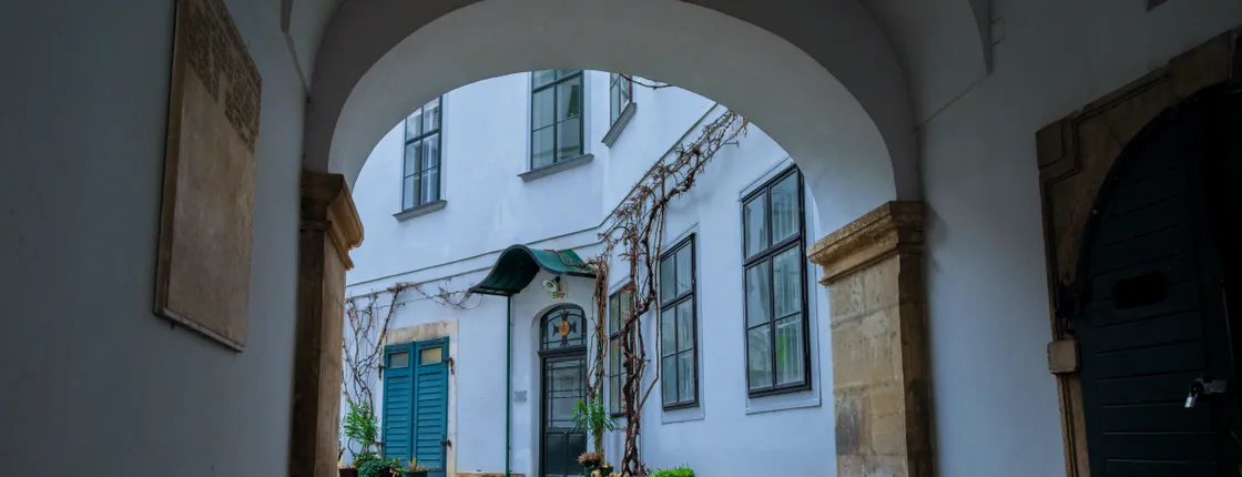 Secrets in the heart of Vienna walking tour