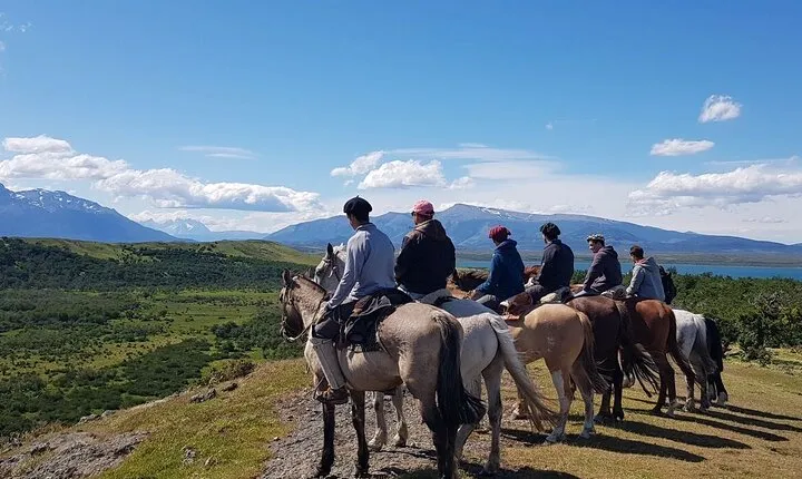 Visit to Patagonian Stay in Bahia Esperanza