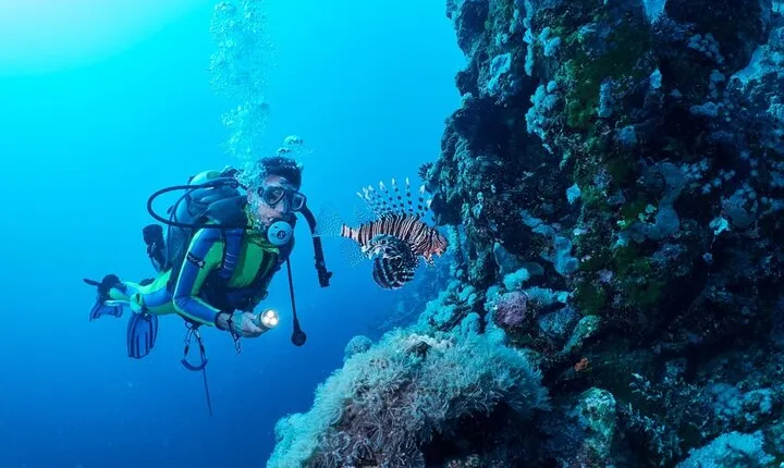 Ras Mohamed & White Island Snorkel & Diving Trip- Sharm El Shiekh