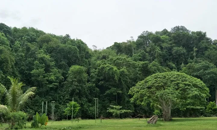 Borneo Combo Adventure