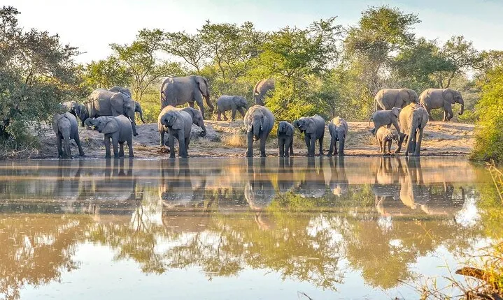 6 Days Masai Mara, Serengeti and Ngorongoro Crater Safari on 4WD