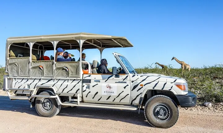 3-Day Etosha Safari Camp Gondwana from Windhoek