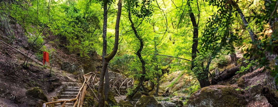 Filerimos Hill with Butterflies Valley Tour from Rhodes