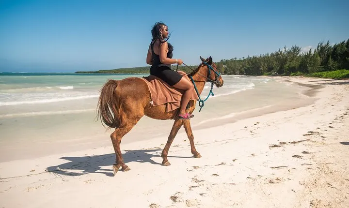 Horseback Ride and Swim Tour In Montego Bay