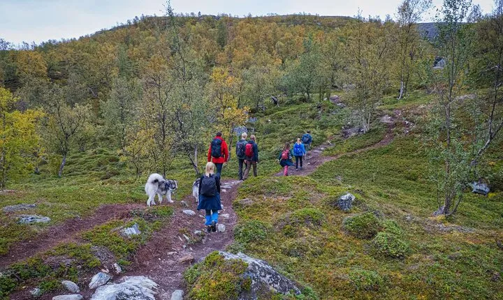 3 Hour UNESCO World Heritage Hike to Komsa Mountain