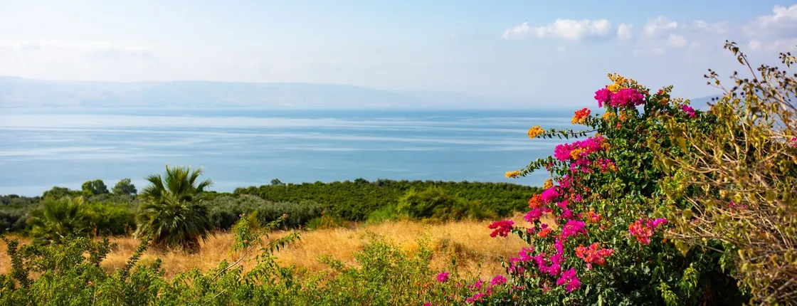 Sea of Galilee & Golan Heights Tour from Nazareth