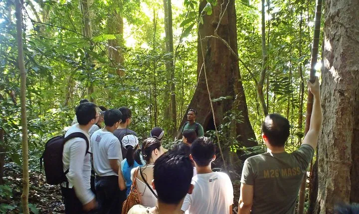 Trekking Through Langkawi’s Jungle