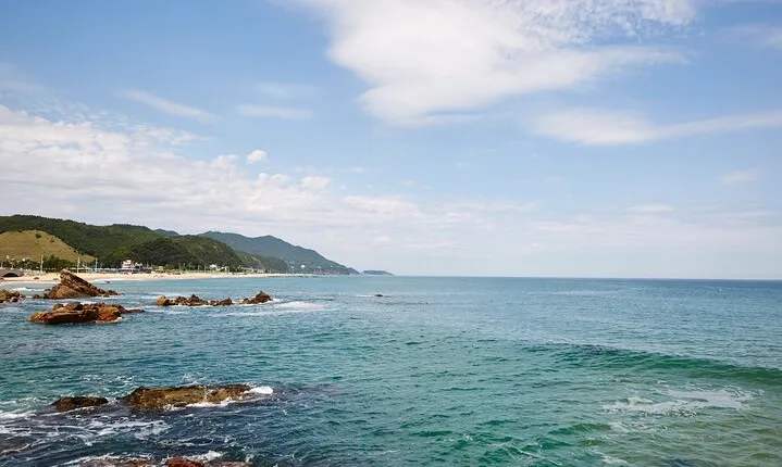 Full-Day Guided Tour: Seoul to Gangneung