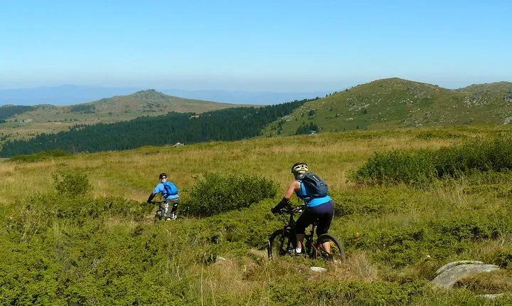 Vitosha Trail Hunter Bike Tour from Sofia