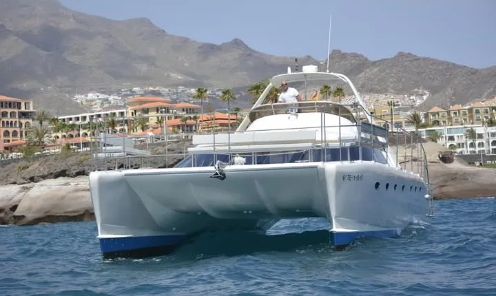 Whale Watching Catamaran Cruise with Transfer, Buffet by MC
