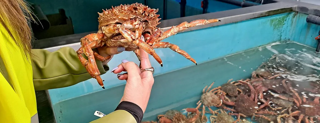 Guided Tour of the Fishing Port & Visit to a Shellfish Nursery
