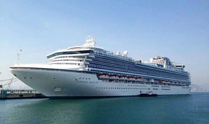 Private Transfer from Shanghai Wusongkou Cruise Port to Pudong Int'l Airport