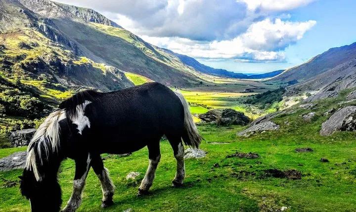 Full-Day North Wales Sightseeing Adventure from Manchester