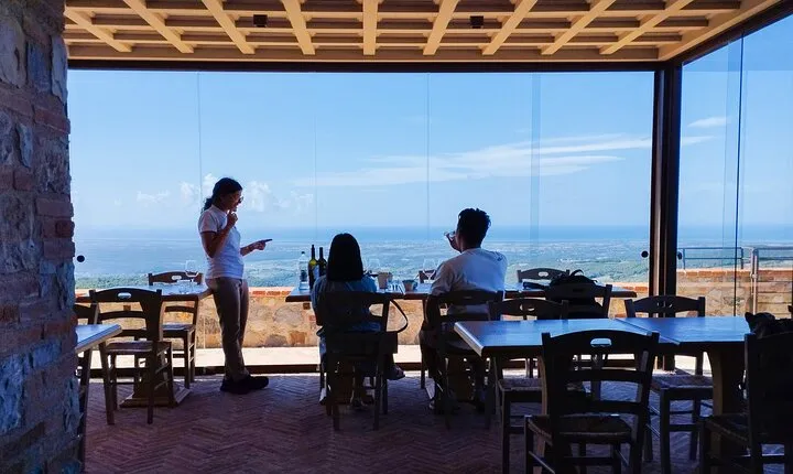 From Florence PRIVATE:Bolgheri Wine Tour,tasting among the Tuscany coastal hills