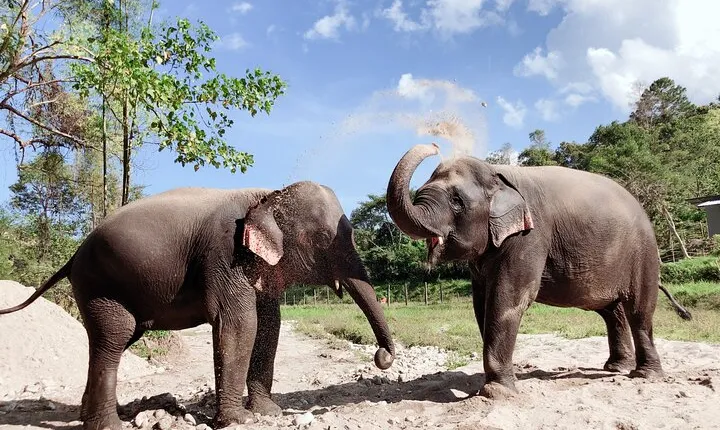 Inthanon Heaven Trail(Living Green Elephant Sanctuary)