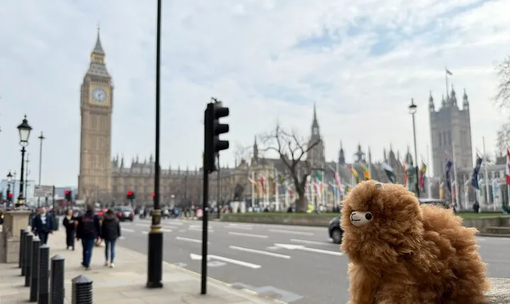 Royal London Westminster and Palaces Private Guided Walking Tour
