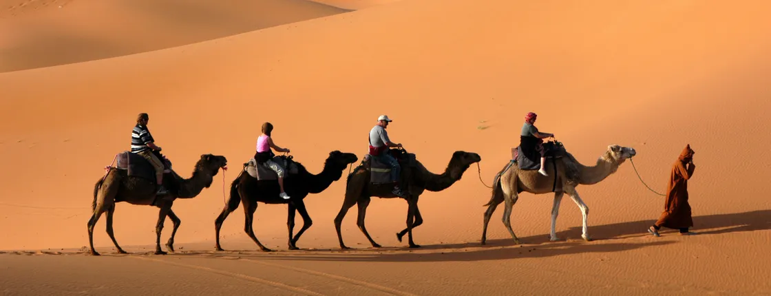 Desert safari by quad bike and 4x4 with Bedouin village dinner