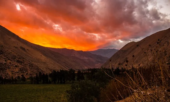 Elqui Valley Tour: Full Day History and Flavors