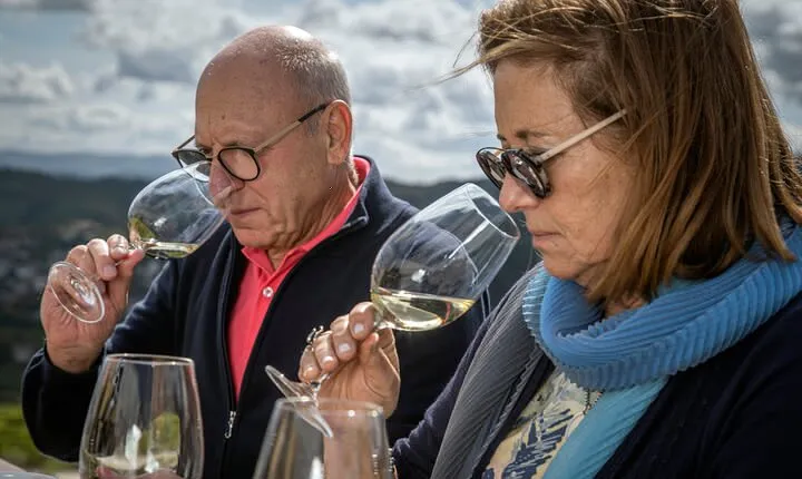 Selection Tasting | Quinta de Santa Cristina Vinho Verde