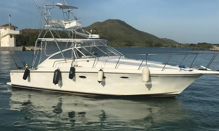 Half Day Big Game Fishing private charter