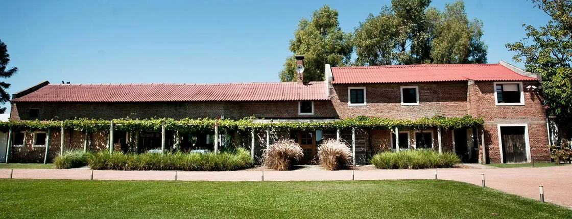 Guided Tour with Wine Tasting Experience at Bouza Winery