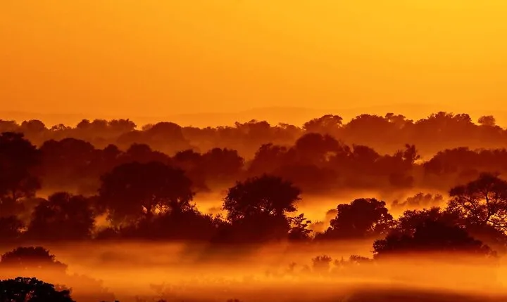 Private Full Day Safari l Kruger National Park from Hazyview or Skukuza