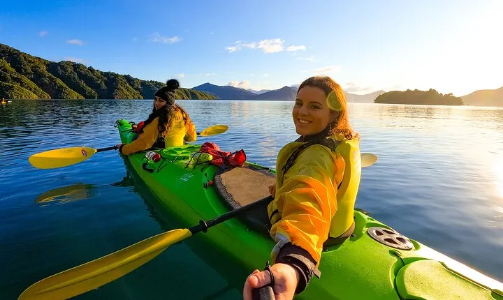 Half day Sea Kayak Guided Tour from Picton