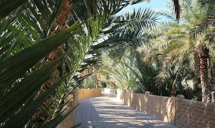 Semi-Private Full-Day Al Ain Cultural Tour from Dubai with Lunch