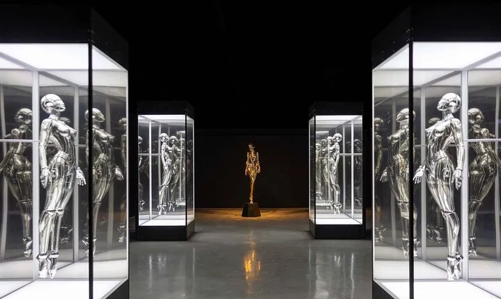 Museum of Sex Miami Admission Ticket