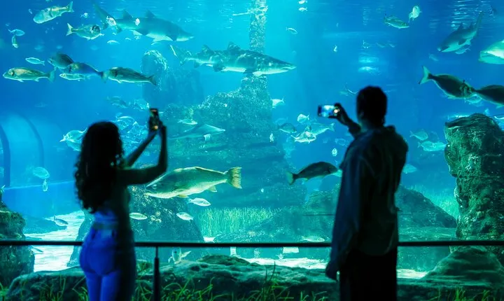 Barcelona Aquarium Skip the Line Ticket