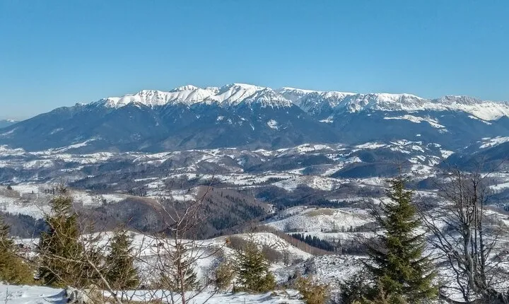 Rambling in Transylvania