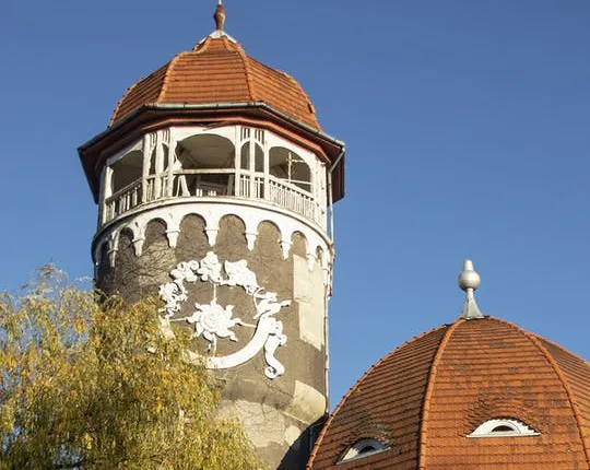 Excursion to Shaaken castle and Svetlogorsk, the pearl on Kaliningrad's seaside
