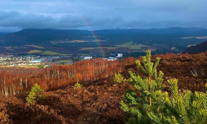 Private Cairngorm National Park tour