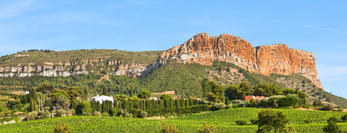 Bandol and Cassis half-day private wine tour