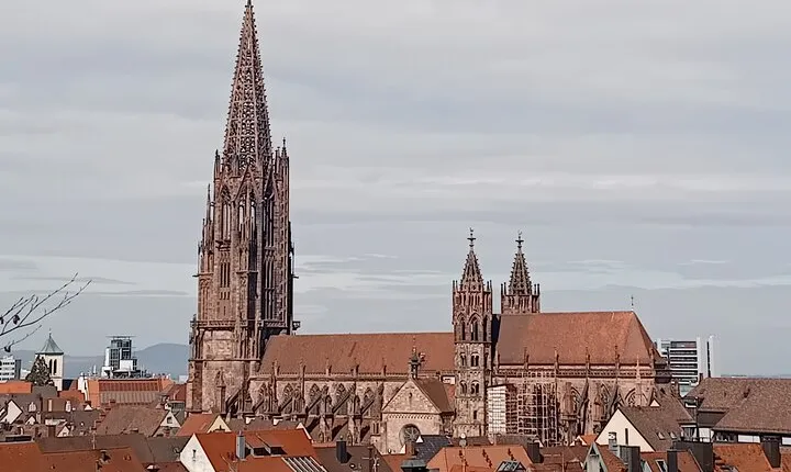 Ancient Echoes - Walking Tours of Historic Freiburg