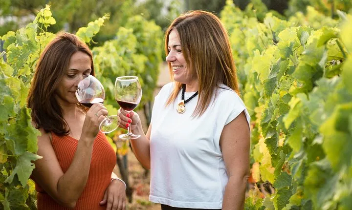 Mijas Organic Vineyard: Exclusive 5Wines & 2OliveOils Tasting