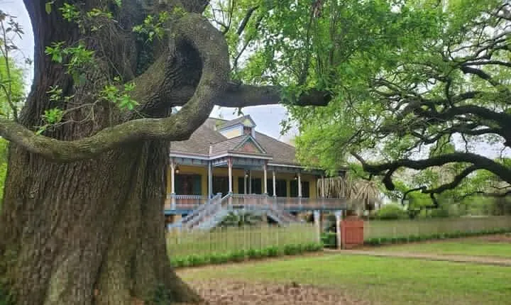 N’awlins Luxury: Laura Plantation Tour w/Transportation