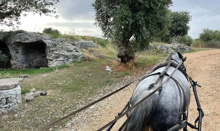Horseback riding through the Apulian countryside