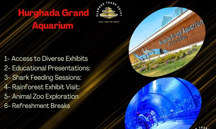 2 Hours Red Sea Wonders Tour at Hurghada Grand Aquarium