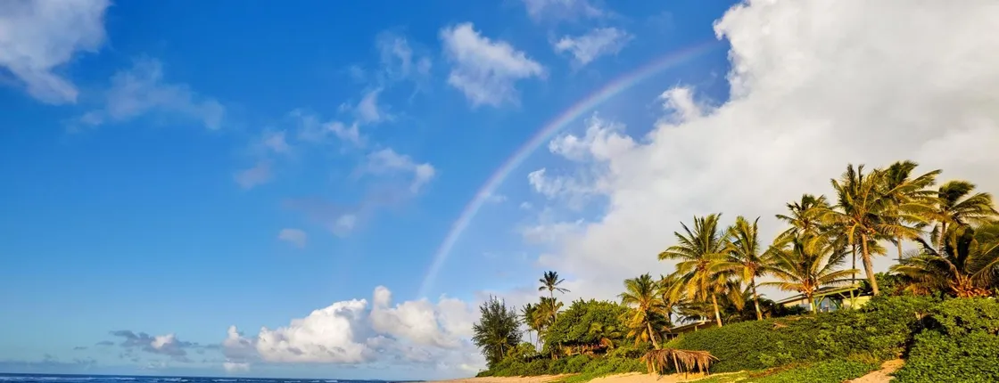 Oahu Grand Circle Island day-tour with lunch