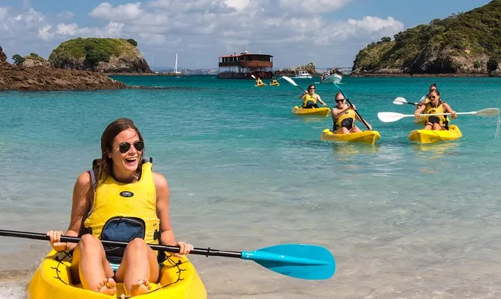 Full-Day Adventure Cruise with Lunch in Bay of Islands