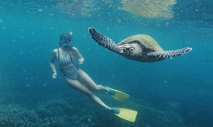 Snorkeling with Turtles in Mirissa