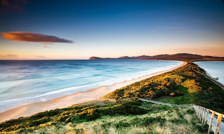 Full-Day Guided Bruny Island Tour from Hobart
