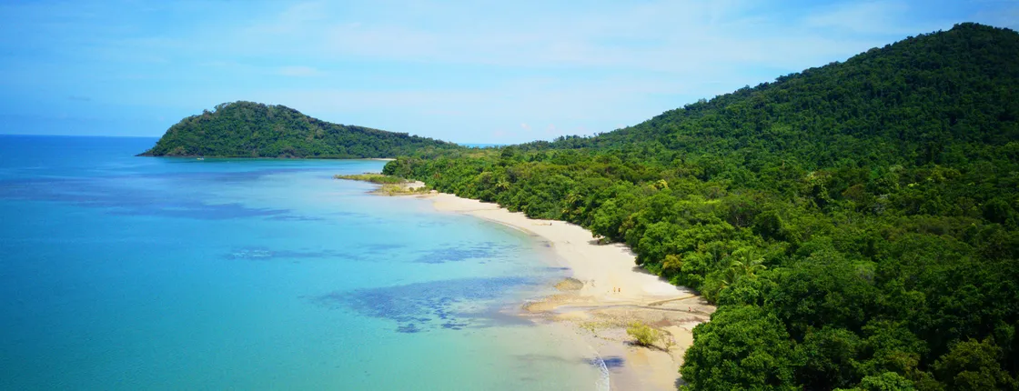 Cape Tribulation and Daintree day tour