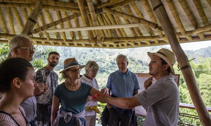 Coffee Tour at Hacienda Venecia near Salento