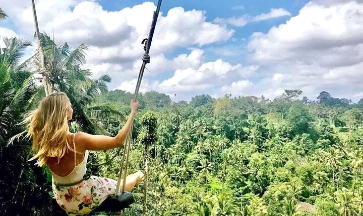 Best of Ubud Tours with Jungle Swing ( All Inclusive )