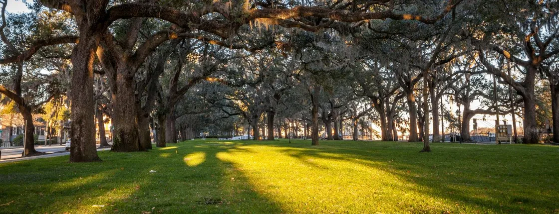 Historical Savannah Self-Guided Walking Tour Bundle